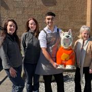 Giffnock Village Business Improvement District is sponsoring a large Scottie Dog sculpture in the town