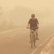 A man rides a bicycle through thick haze caused by wildfires in Palangkaraya, Central Kalimantan, Indonesia (Dias Gustrian/AP)